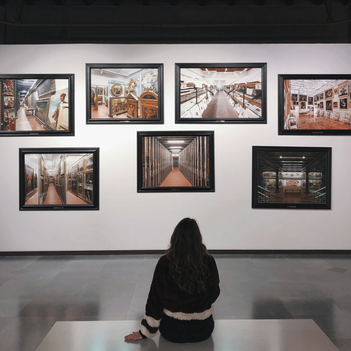 Museum exhibition vitrines and collection curation displays